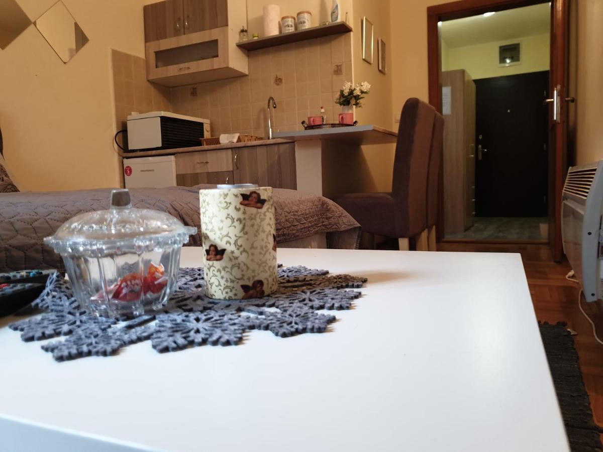 Studio Dunja Vrnjačka Banja المظهر الخارجي الصورة