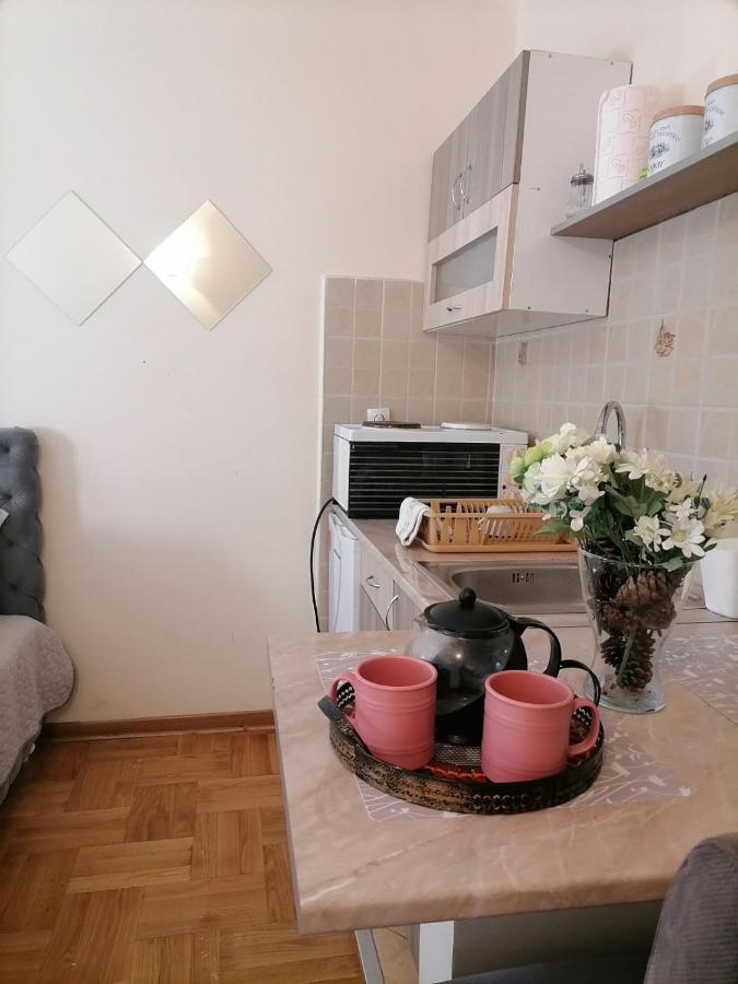 Studio Dunja Vrnjačka Banja المظهر الخارجي الصورة