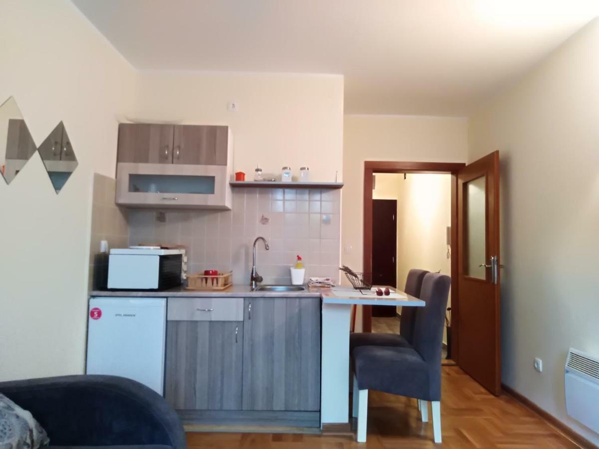 Studio Dunja Vrnjačka Banja المظهر الخارجي الصورة