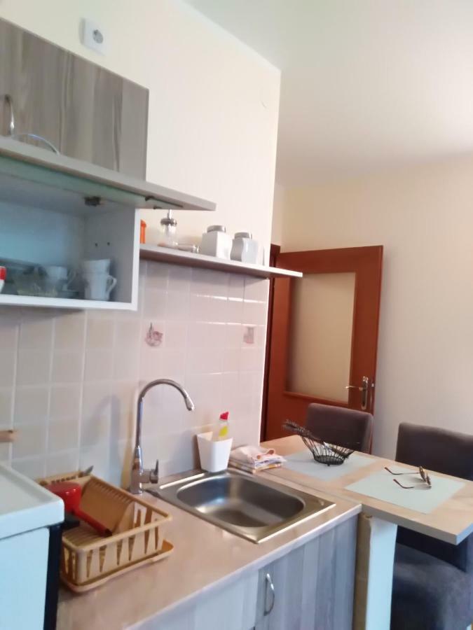 Studio Dunja Vrnjačka Banja المظهر الخارجي الصورة